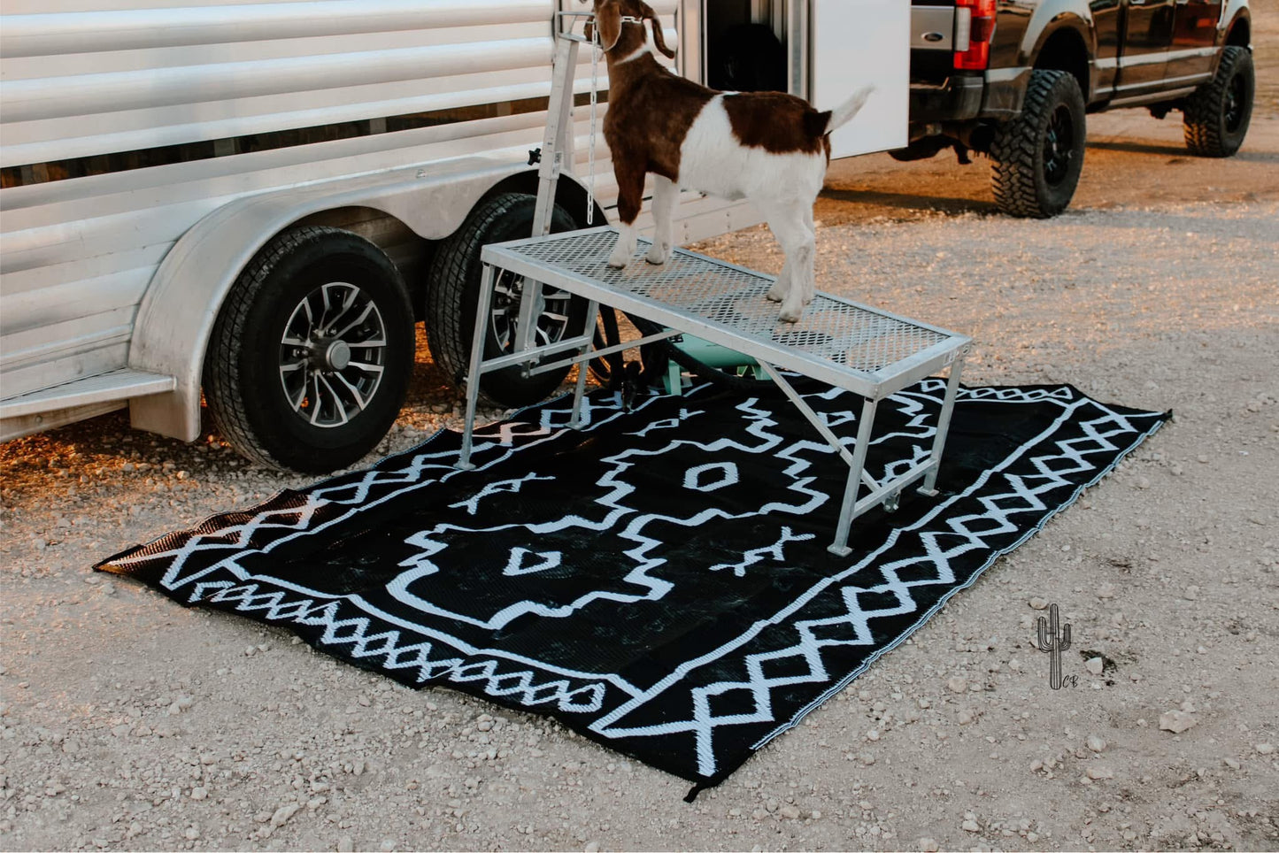 Branded Outdoor Rugs