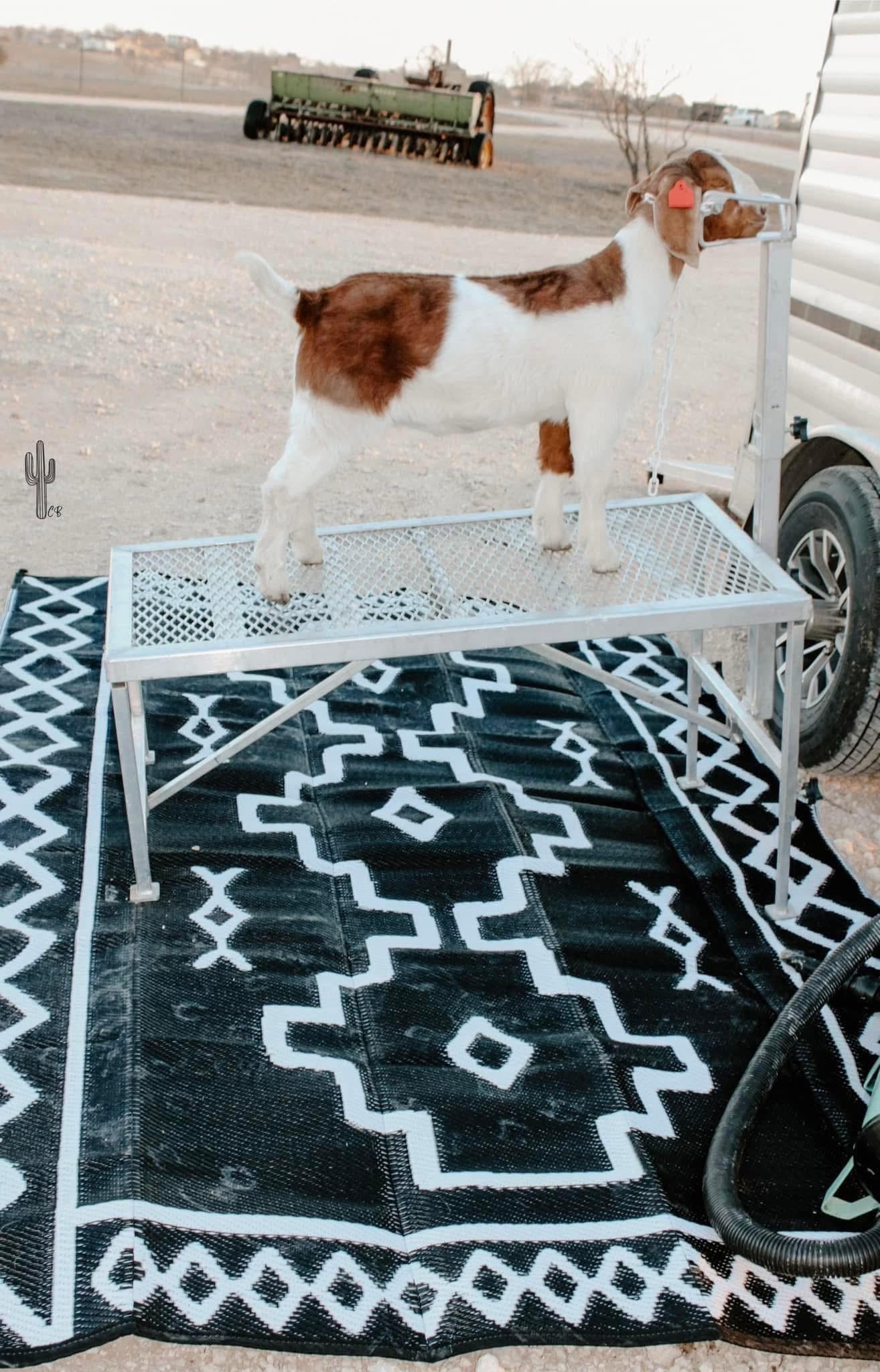 Branded Outdoor Rugs