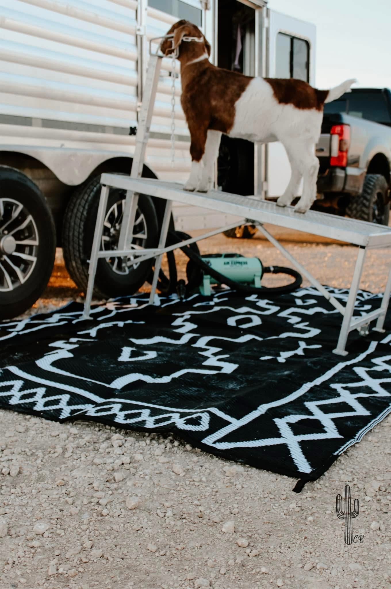 Branded Outdoor Rugs