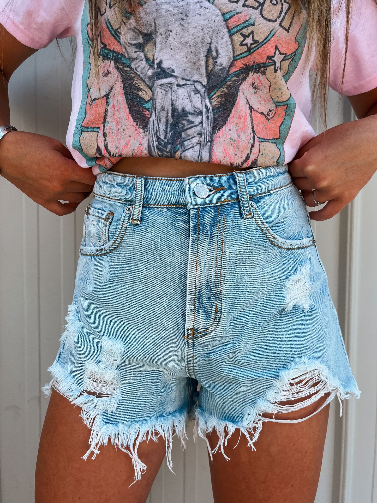 The Endless Summer Shorts