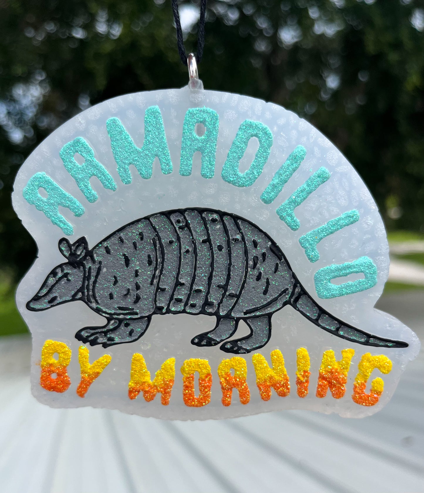 The Amarillo Armadillo Freshie