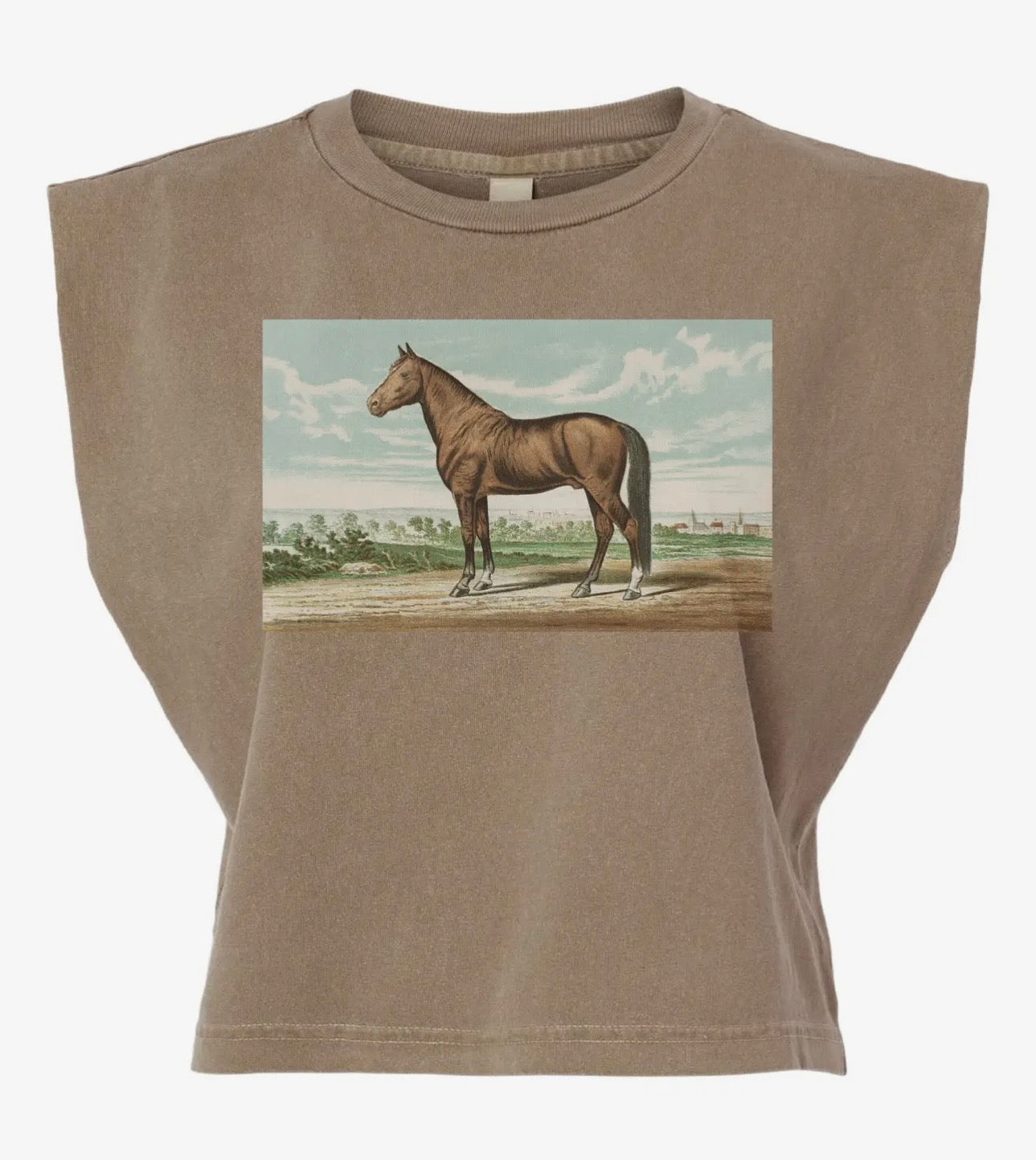 The Horse Tank
